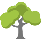 Clermont Tree Removal